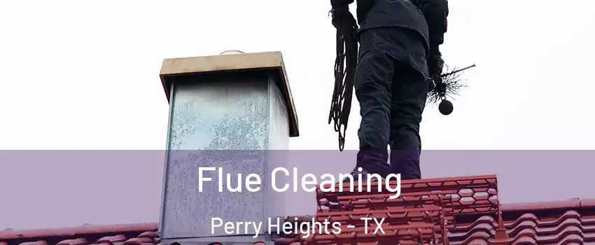Flue Cleaning Perry Heights - TX