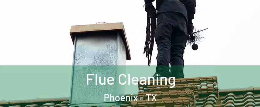Flue Cleaning Phoenix - TX