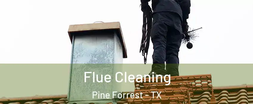 Flue Cleaning Pine Forrest - TX