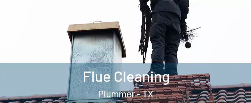 Flue Cleaning Plummer - TX