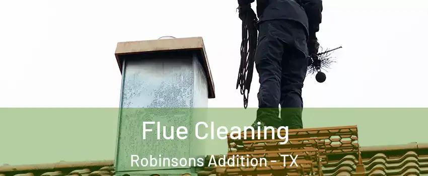 Flue Cleaning Robinsons Addition - TX