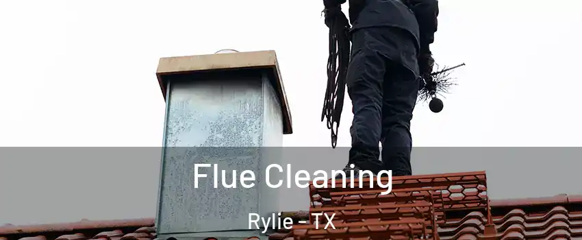 Flue Cleaning Rylie - TX