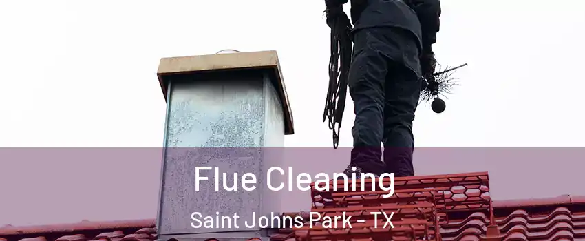 Flue Cleaning Saint Johns Park - TX