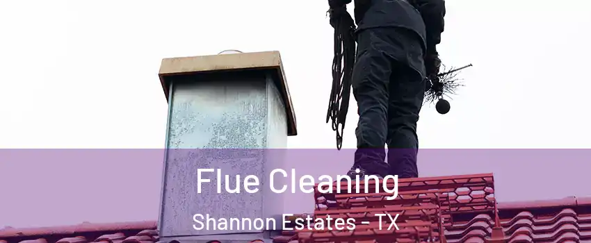 Flue Cleaning Shannon Estates - TX