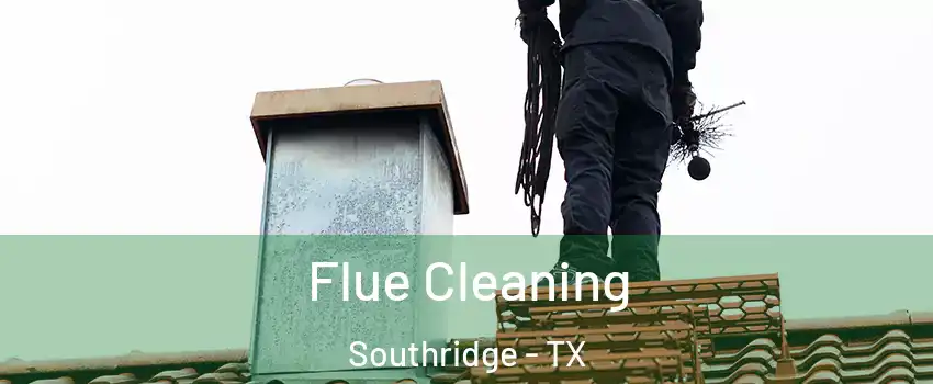 Flue Cleaning Southridge - TX