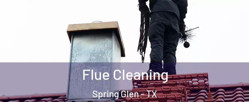 Flue Cleaning Spring Glen - TX