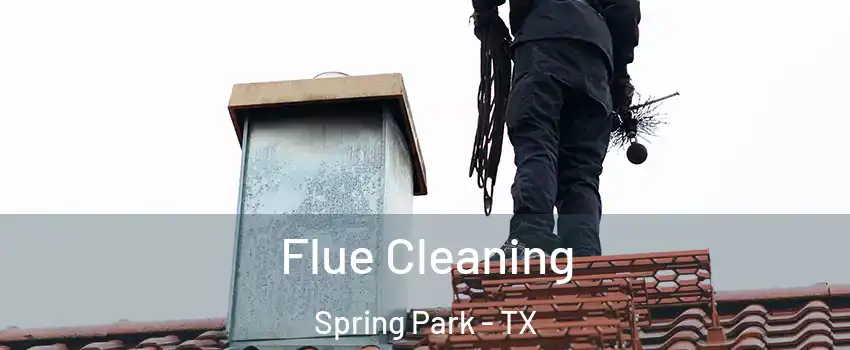 Flue Cleaning Spring Park - TX