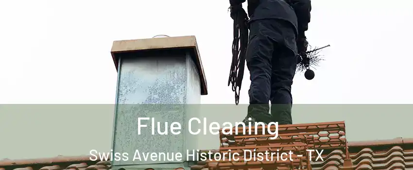 Flue Cleaning Swiss Avenue Historic District - TX