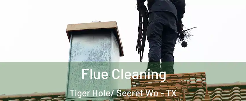 Flue Cleaning Tiger Hole/ Secret Wo - TX