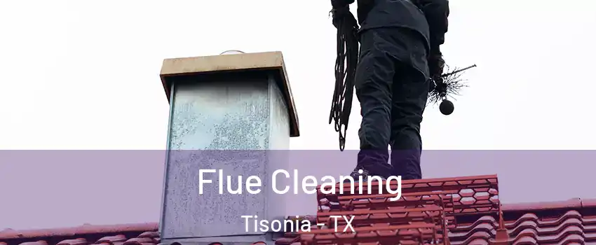Flue Cleaning Tisonia - TX