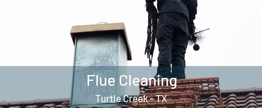 Flue Cleaning Turtle Creek - TX