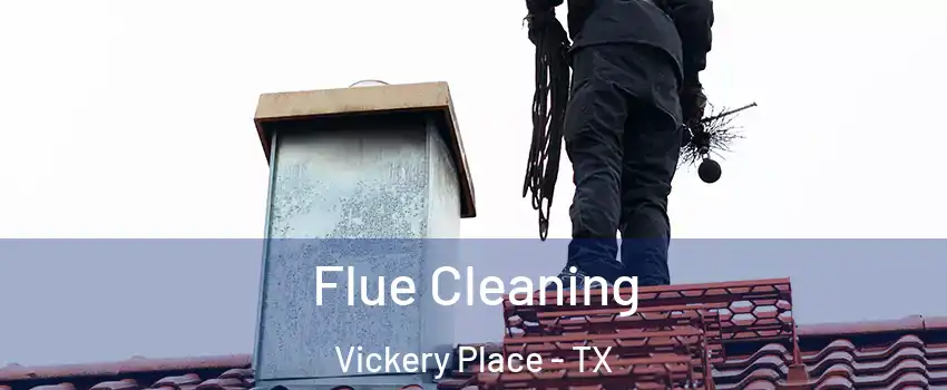 Flue Cleaning Vickery Place - TX