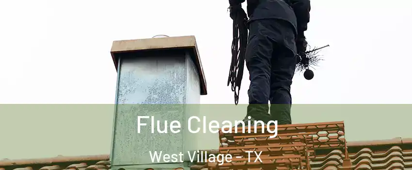 Flue Cleaning West Village - TX