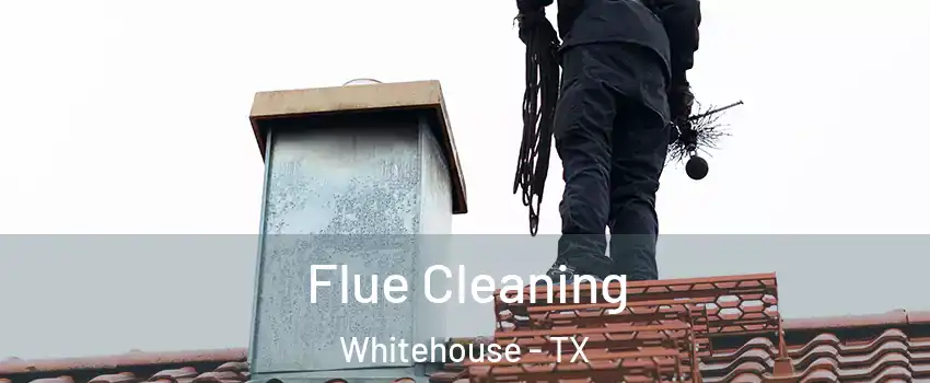 Flue Cleaning Whitehouse - TX