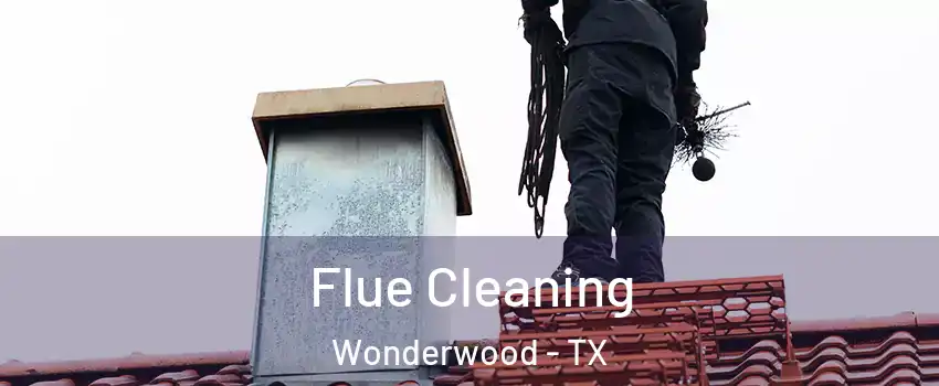 Flue Cleaning Wonderwood - TX