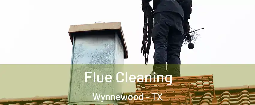 Flue Cleaning Wynnewood - TX