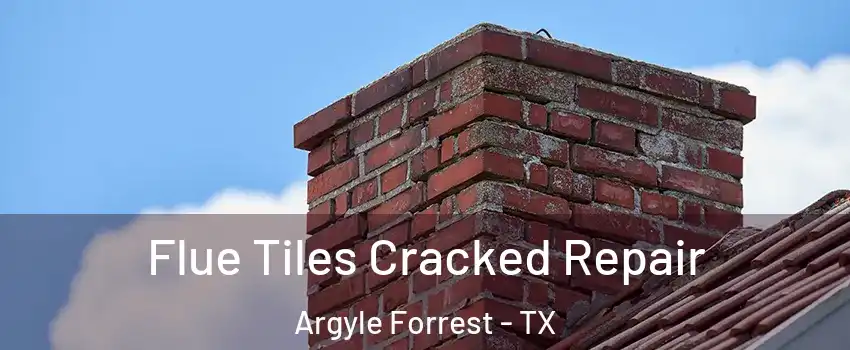 Flue Tiles Cracked Repair Argyle Forrest - TX