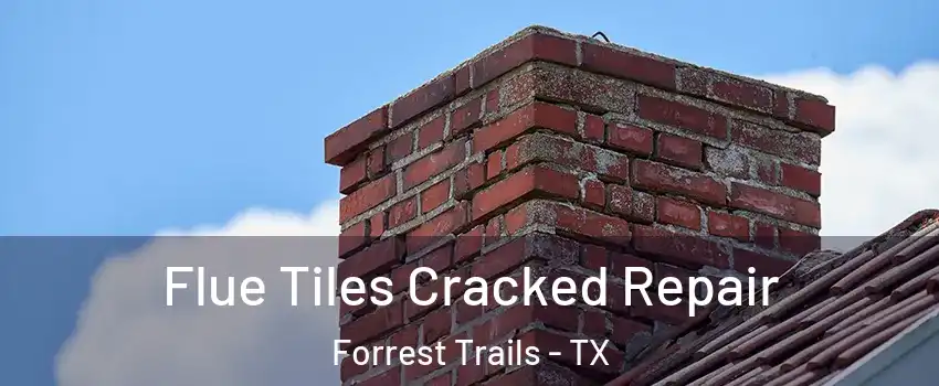 Flue Tiles Cracked Repair Forrest Trails - TX