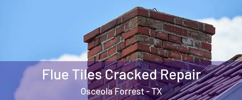 Flue Tiles Cracked Repair Osceola Forrest - TX