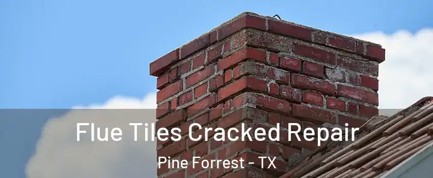 Flue Tiles Cracked Repair Pine Forrest - TX