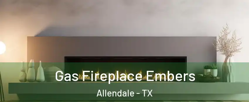 Gas Fireplace Embers Allendale - TX