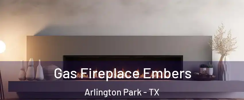 Gas Fireplace Embers Arlington Park - TX