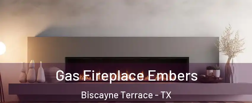 Gas Fireplace Embers Biscayne Terrace - TX