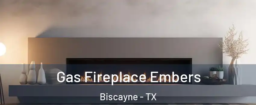 Gas Fireplace Embers Biscayne - TX