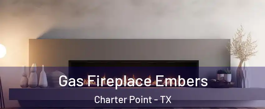 Gas Fireplace Embers Charter Point - TX