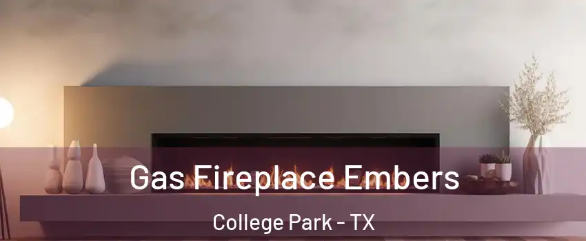Gas Fireplace Embers College Park - TX
