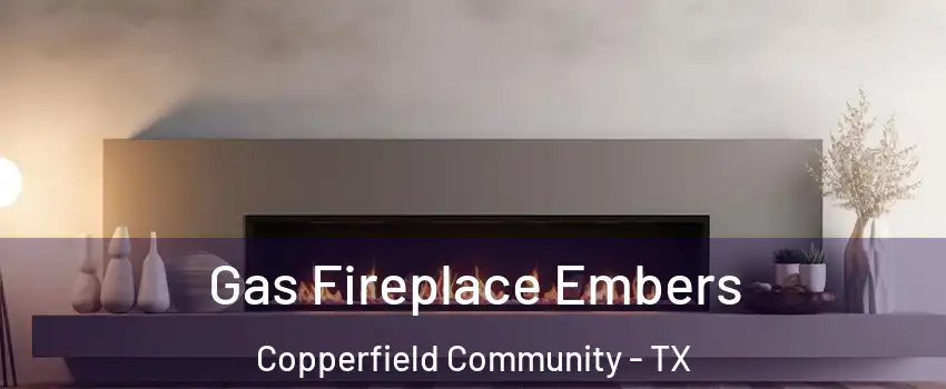 Gas Fireplace Embers Copperfield Community - TX