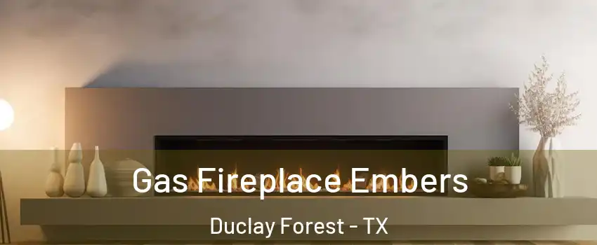 Gas Fireplace Embers Duclay Forest - TX