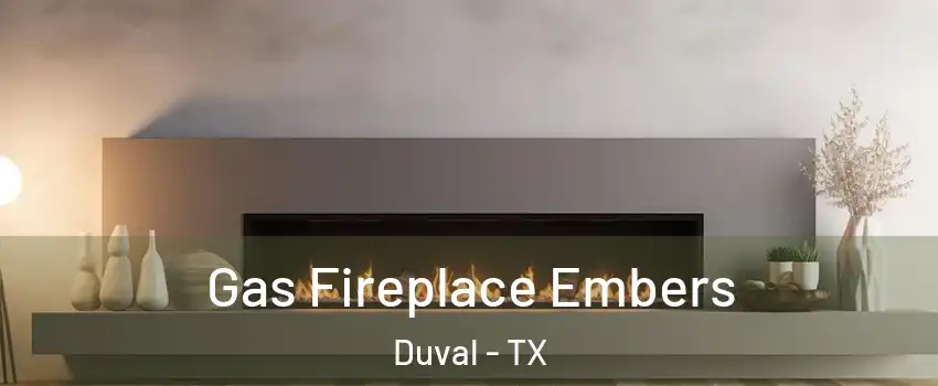 Gas Fireplace Embers Duval - TX
