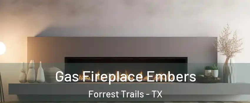 Gas Fireplace Embers Forrest Trails - TX