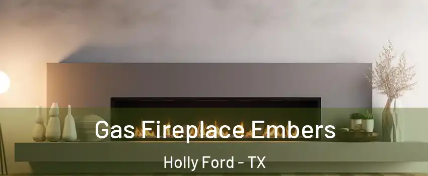 Gas Fireplace Embers Holly Ford - TX