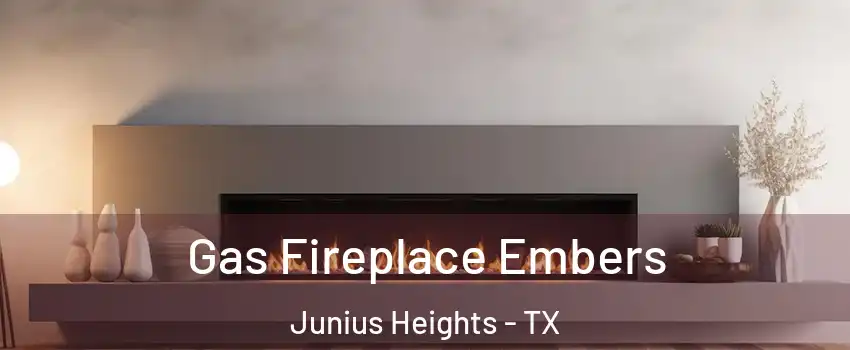 Gas Fireplace Embers Junius Heights - TX
