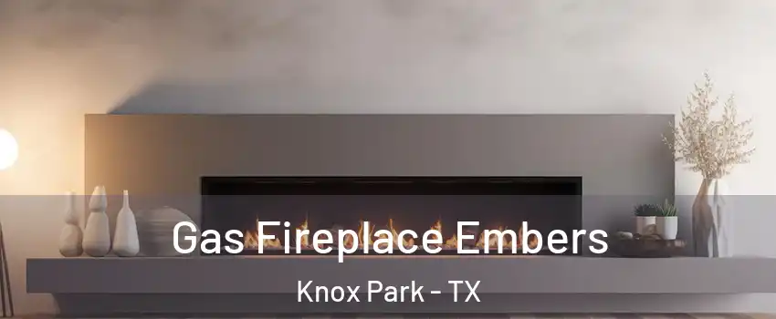 Gas Fireplace Embers Knox Park - TX