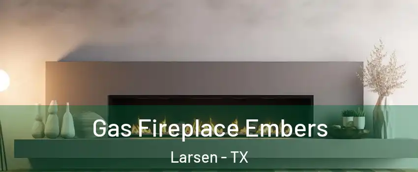 Gas Fireplace Embers Larsen - TX