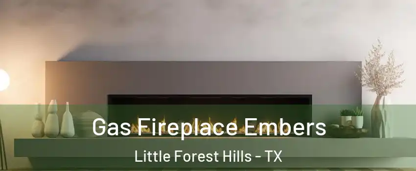 Gas Fireplace Embers Little Forest Hills - TX