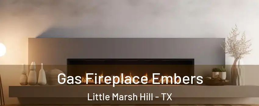 Gas Fireplace Embers Little Marsh Hill - TX