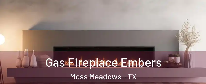 Gas Fireplace Embers Moss Meadows - TX