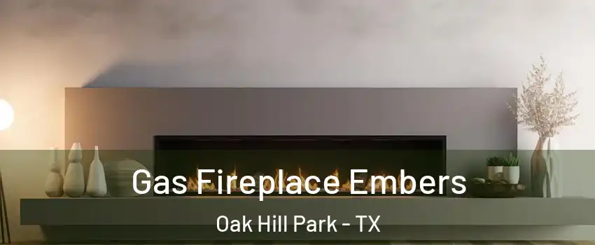 Gas Fireplace Embers Oak Hill Park - TX