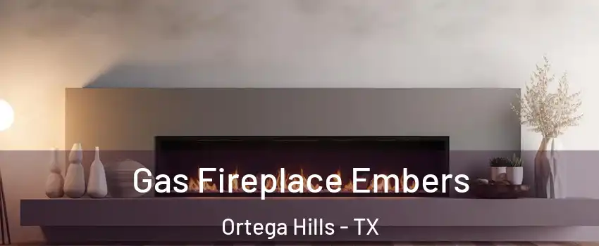 Gas Fireplace Embers Ortega Hills - TX