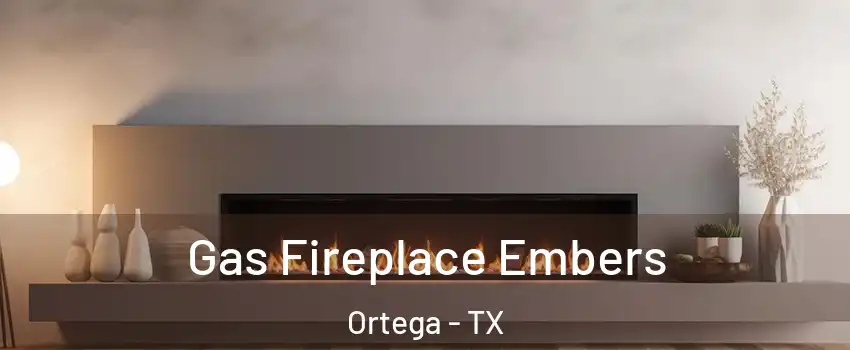 Gas Fireplace Embers Ortega - TX