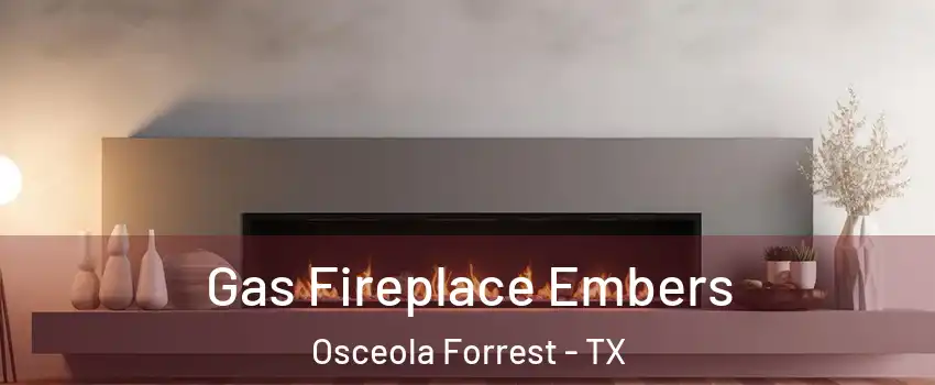 Gas Fireplace Embers Osceola Forrest - TX