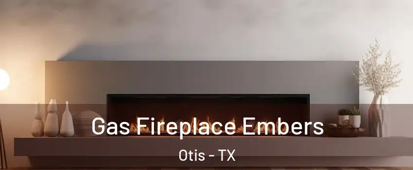Gas Fireplace Embers Otis - TX