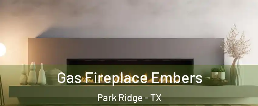 Gas Fireplace Embers Park Ridge - TX