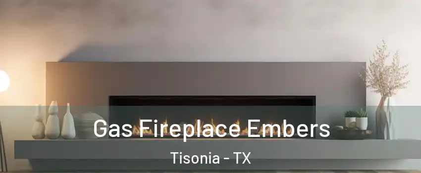 Gas Fireplace Embers Tisonia - TX