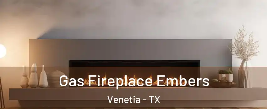 Gas Fireplace Embers Venetia - TX