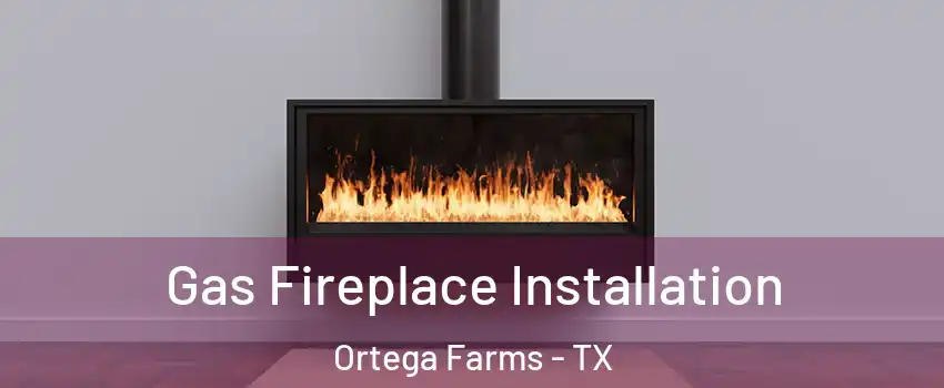 Gas Fireplace Installation Ortega Farms - TX